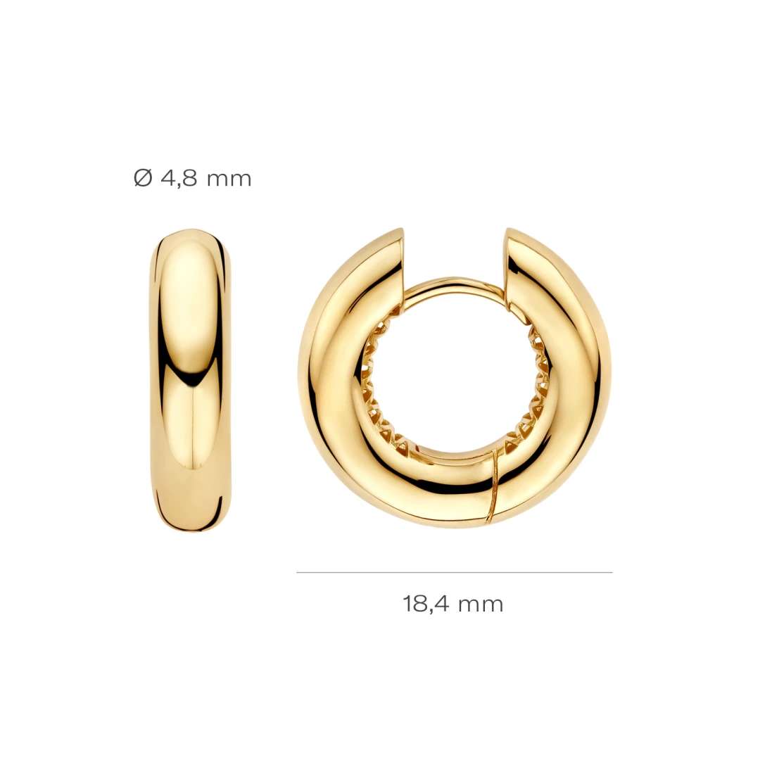 Blush Oorbellen 7371YGO -  Geel Goud (14k)