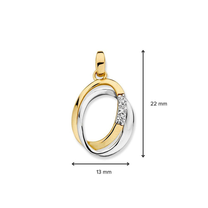 14krt bicolorgouden hanger zirkonia 22x13mm