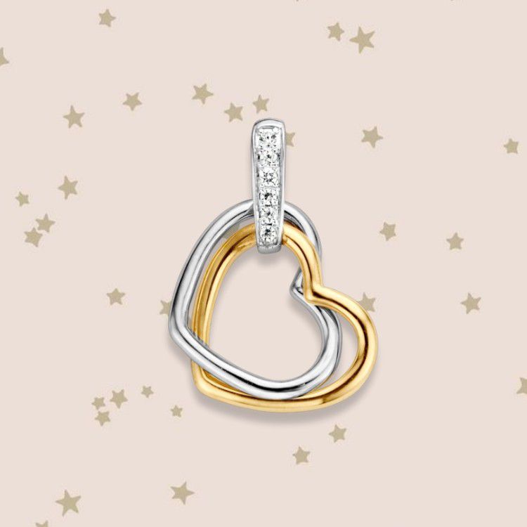14krt bicolor gouden hanger zirkonia 20x12mm