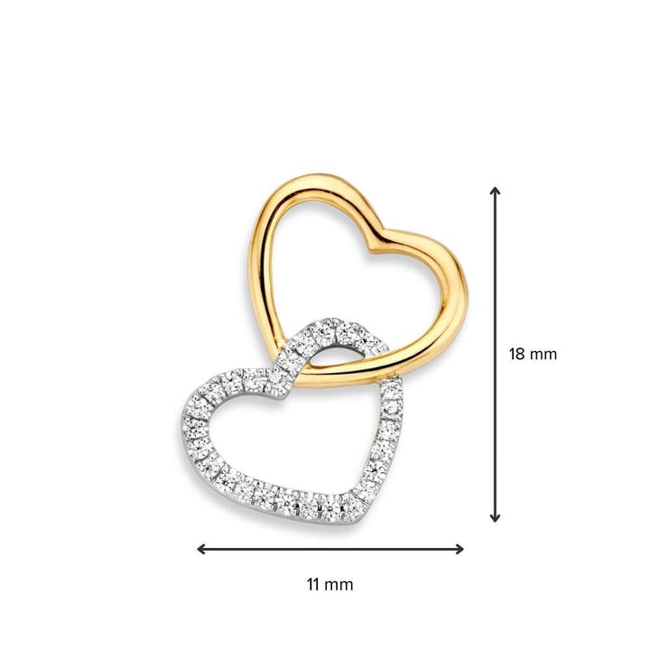 14krt bicolor gouden hanger zirkonia 18x11mm