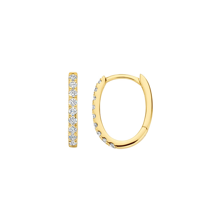 Blush Lab Diamonds Oorringen LG7008Y – Geel Goud (14k) met Lab grown Diamant