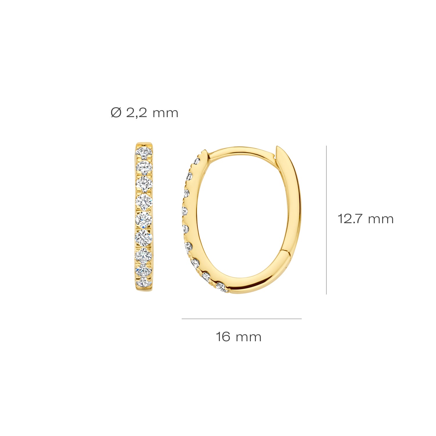 Blush Lab Diamonds Oorringen LG7008Y – Geel Goud (14k) met Lab grown Diamant