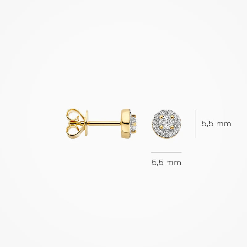 Blush Lab Diamonds Oorknoppen LG7011Y - Geelgoud (14k) met Lab grown Diamant