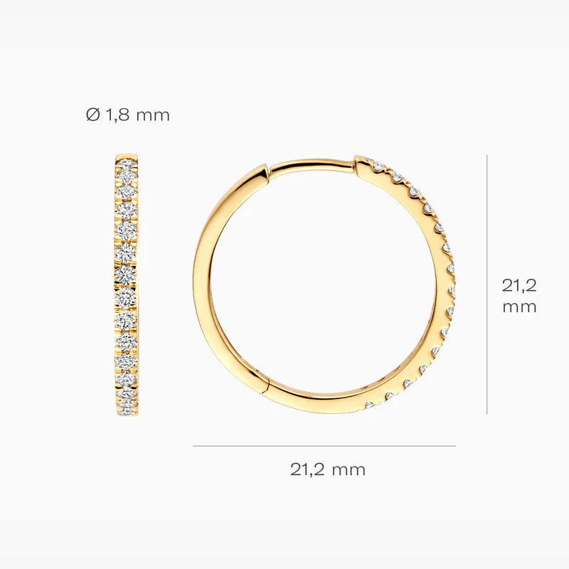 Blush Lab Diamonds Oorringen LG7013Y - Geelgoud (14k) met Lab grown Diamant