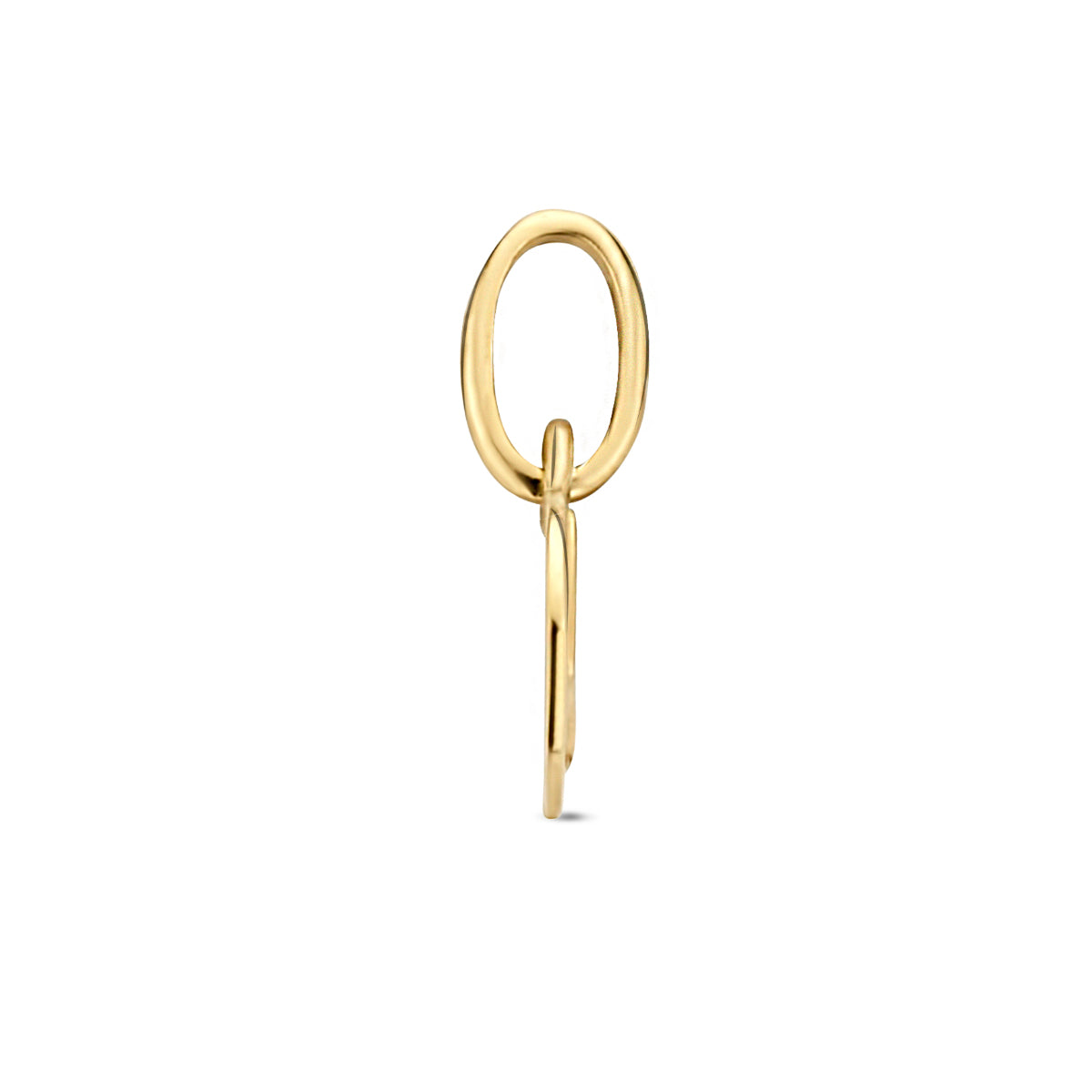 14krt geelgouden sterrenbeeld hanger waterman | dia 6mm