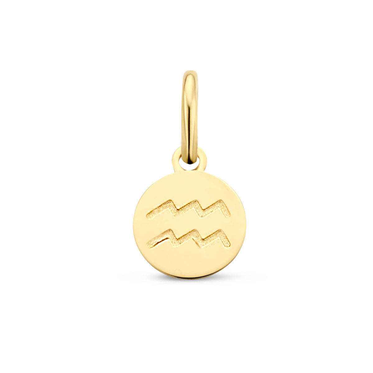 14krt geelgouden sterrenbeeld hanger waterman | dia 6mm