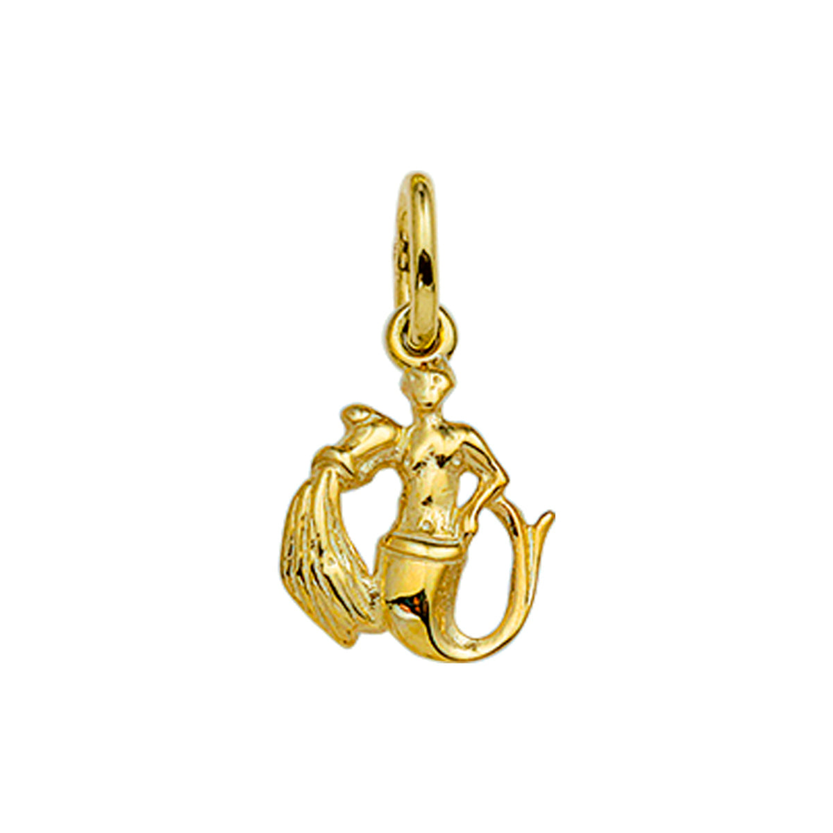 14krt geelgouden hanger sterrenbeeld | waterman