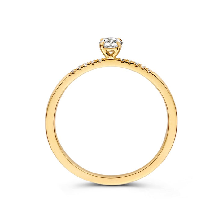 14krt geelgouden rijring met LG diamant | 1-0.20ct & 10-0.06ct HSI